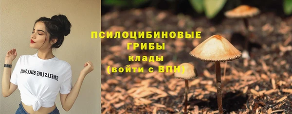 синтетический гашиш Вязьма