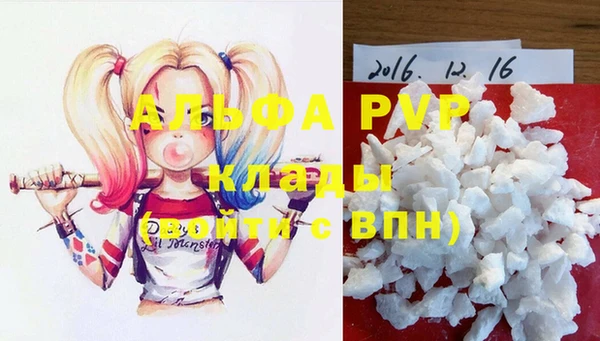 индика Бикин
