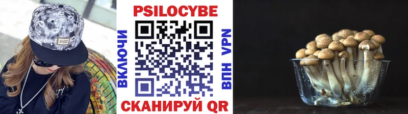 Галлюциногенные грибы Psilocybine cubensis  Георгиевск 