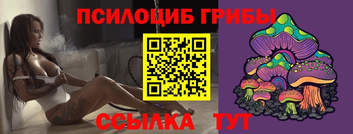 Георгиевск  Галлюциногенные грибы прущие грибы  Псилоцибиновые грибы ЛСД  Вход с VPN 